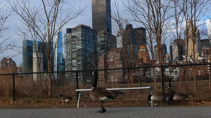 NYC_2020-01-27 08-42-08_P1070838